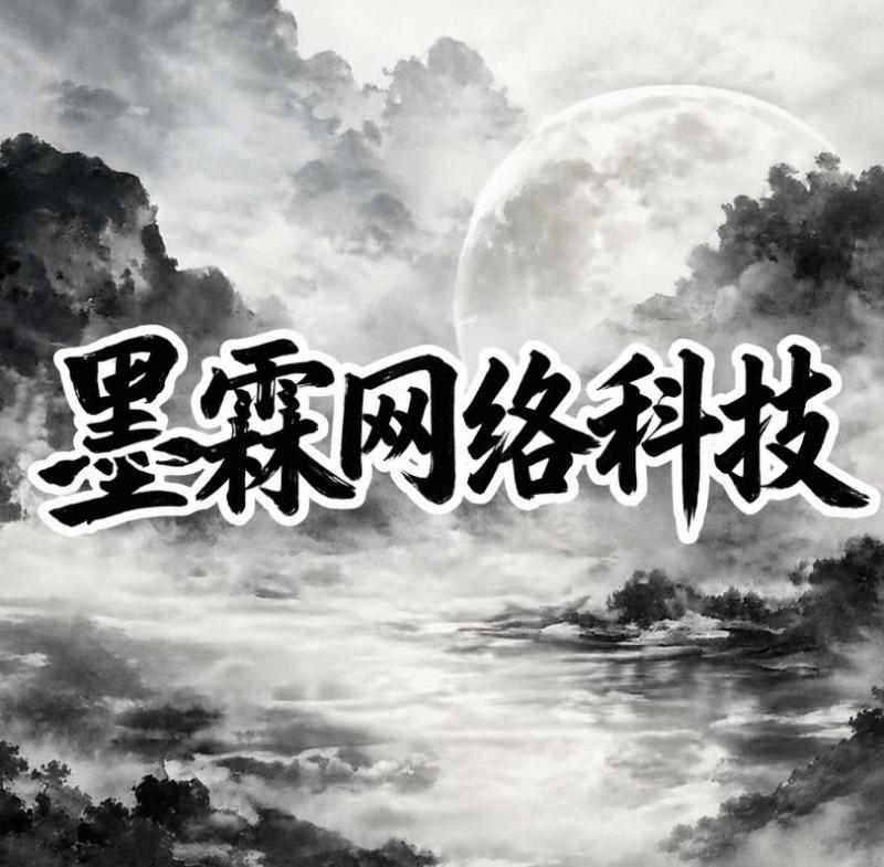 墨霖网络科技